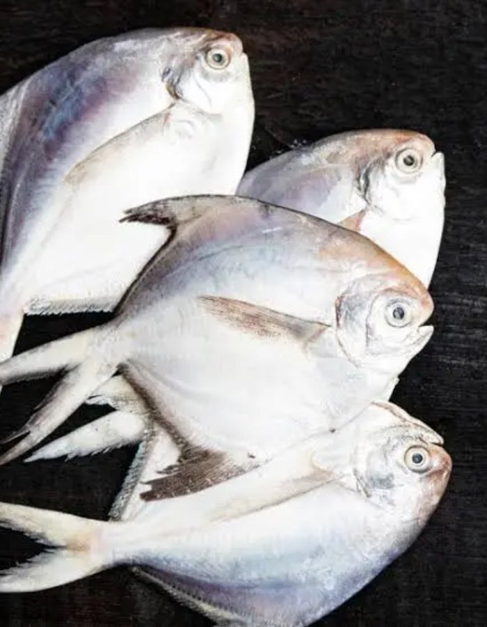 New Project (1) (3) (1)