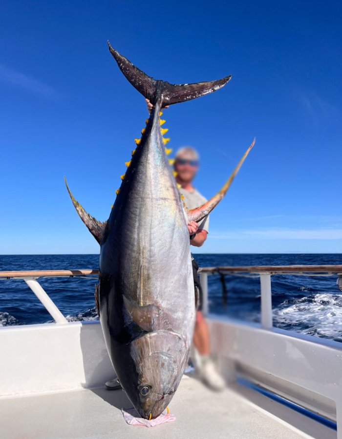 New Project (1) (3) (11)